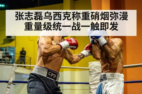 张志磊乌西克称重硝烟弥漫 重量级统一战一触即发